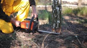 Mulching Services in Harvard, NE